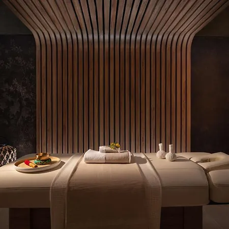 尼斯安纳塔拉广场酒店 5*